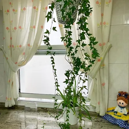 Goimil Apartment